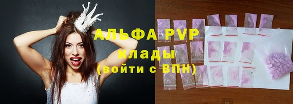 сатива Костерёво