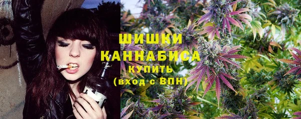 сатива Костерёво