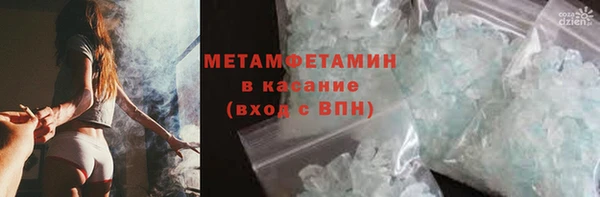 сатива Костерёво