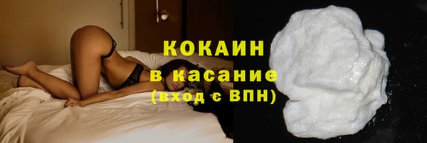 сатива Корсаков