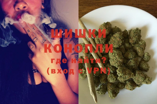 сатива Корсаков