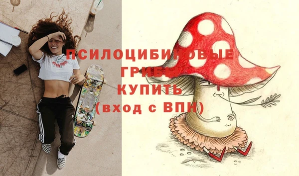 спиды Кинешма