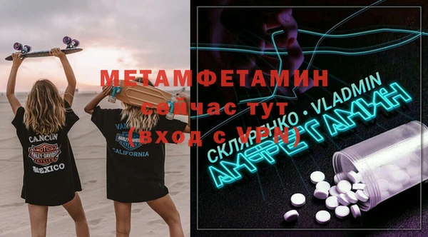 прущие грибы Козельск