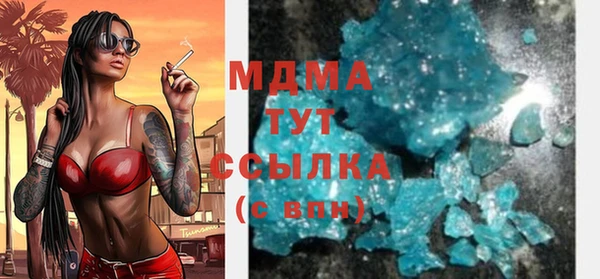 индика Новодвинск
