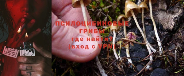 сатива Корсаков