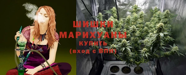 ECSTASY Коряжма