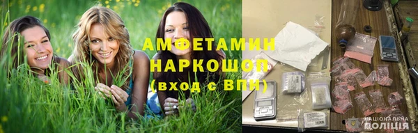 прущие грибы Козельск