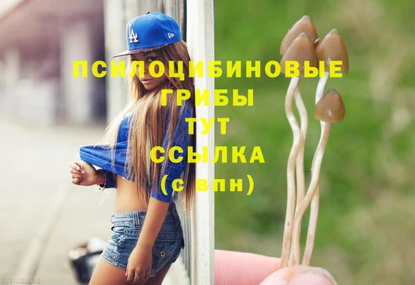 прущие грибы Козельск