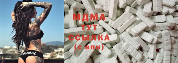 прущие грибы Козельск